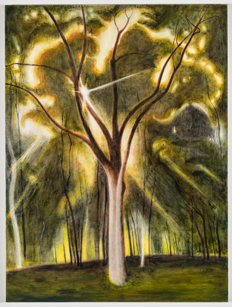 Ron Milewicz, Sun and Oak, 2019