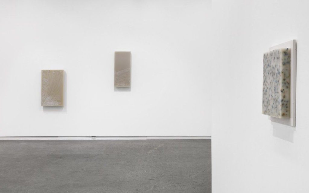 Installation view of Iris Häussler at Daniel Faria Gallery, 2019