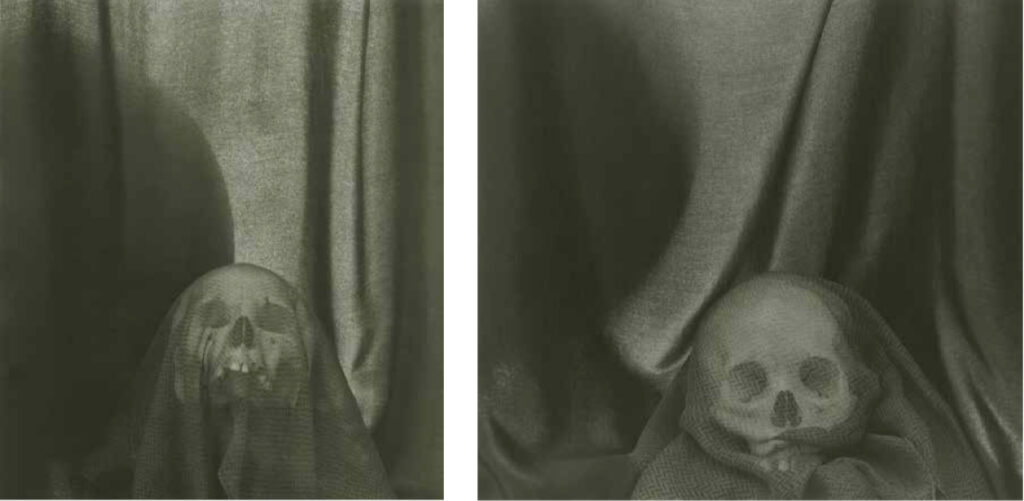 Left: Lynn Stern, Spectator #14-65, 2014–2015. Archival inkjet pigment print, 32" x 29". Ed. 1/6. Right: Spectator #14-70, 2014–2015. Archival inkjet pigment print, 32 x 34.5 in. Ed. 1/6. Courtesy of the artist.