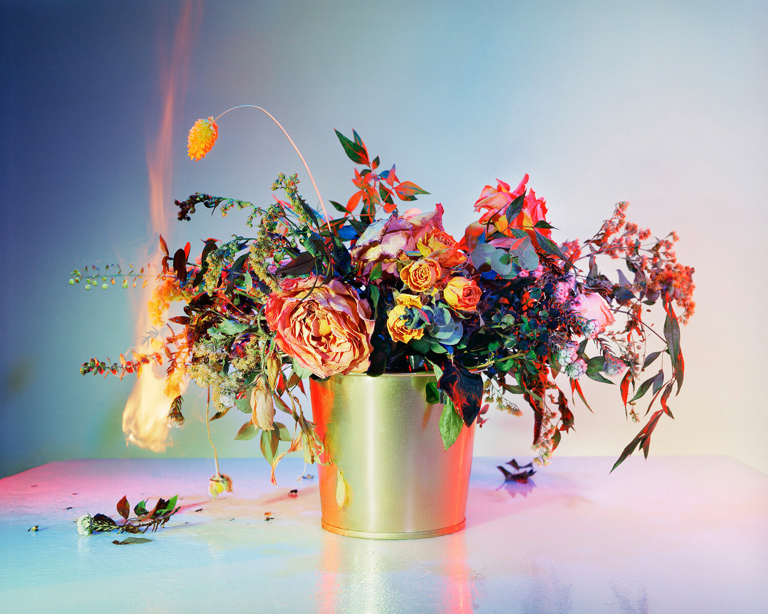 Amanda Arcuri, A Shot in the Dark 11, 2019, C-Print with Plexi Pink Frame, 50” x 40”