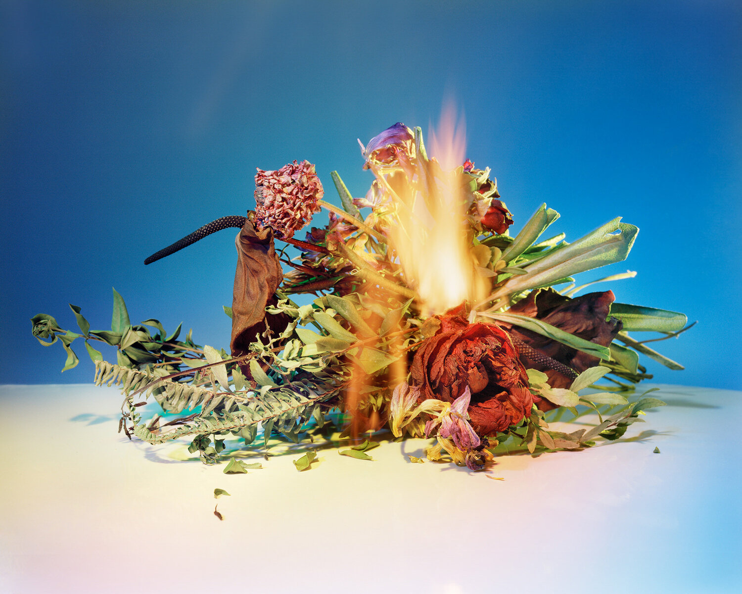 Amanda Arcuri, A Shot in the Dark 17 (The Rainbow), 2020, dibond mounted, C-Print, 30” x 24”