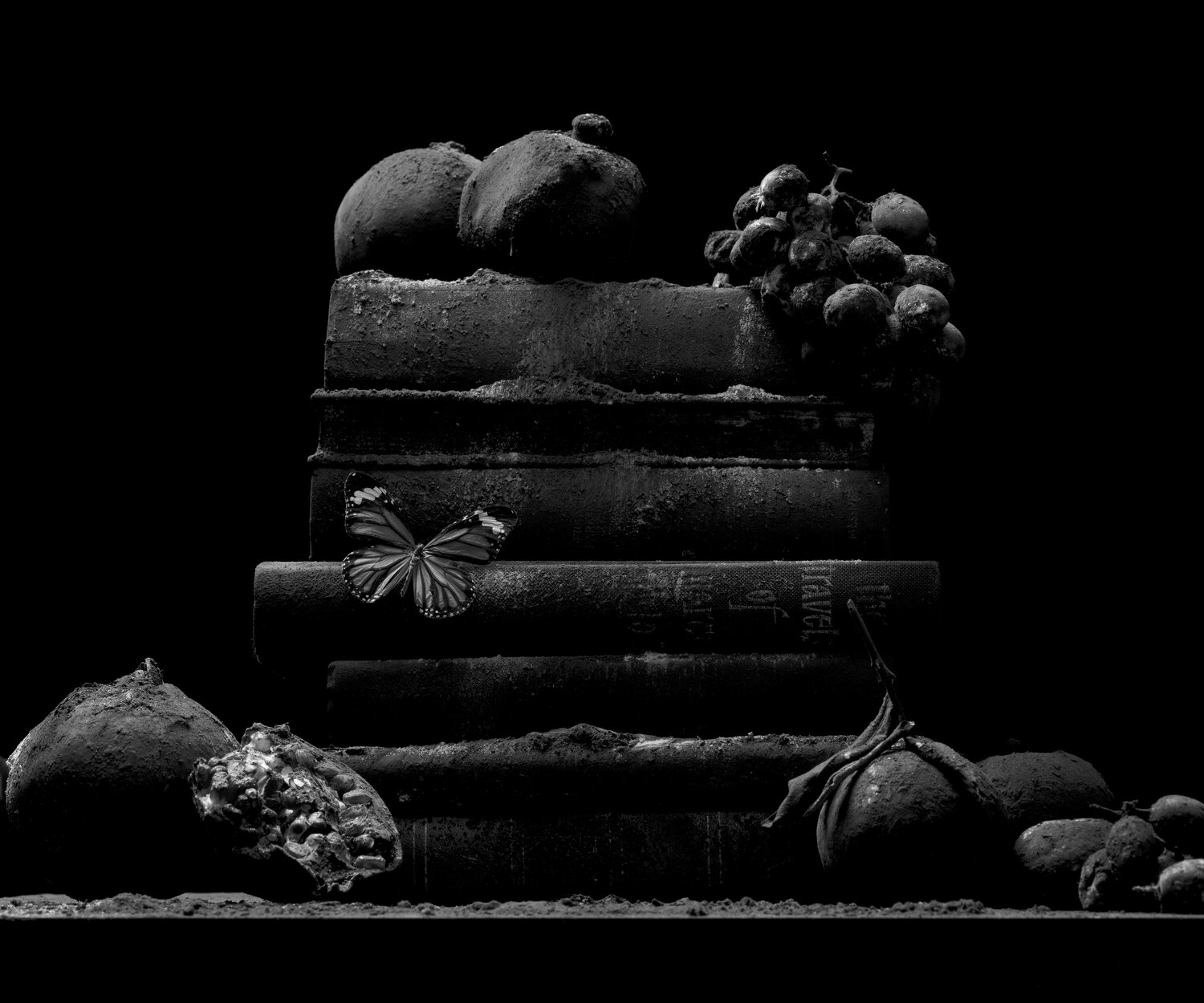 Ryan Van Der Hout, Ascension, 2021, Archival Pigment Print, 24” x 20”