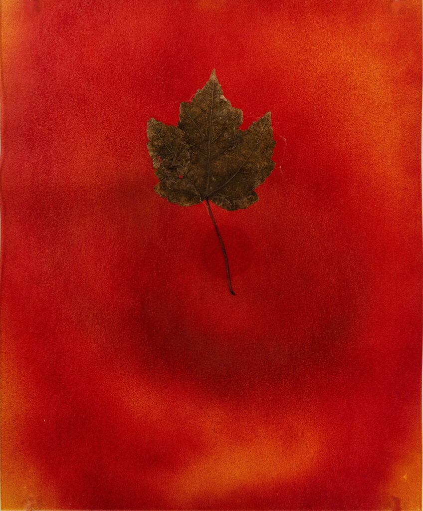 Alan Sonfist, Leaf Met the Paper in Time, 1974, mixed media on paper, 11 x 14 in. (27.9 x 35.5 cm.)