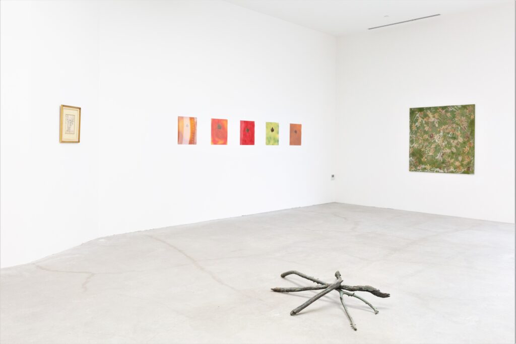 Alan Sonfist, American Earth Landscape installation view