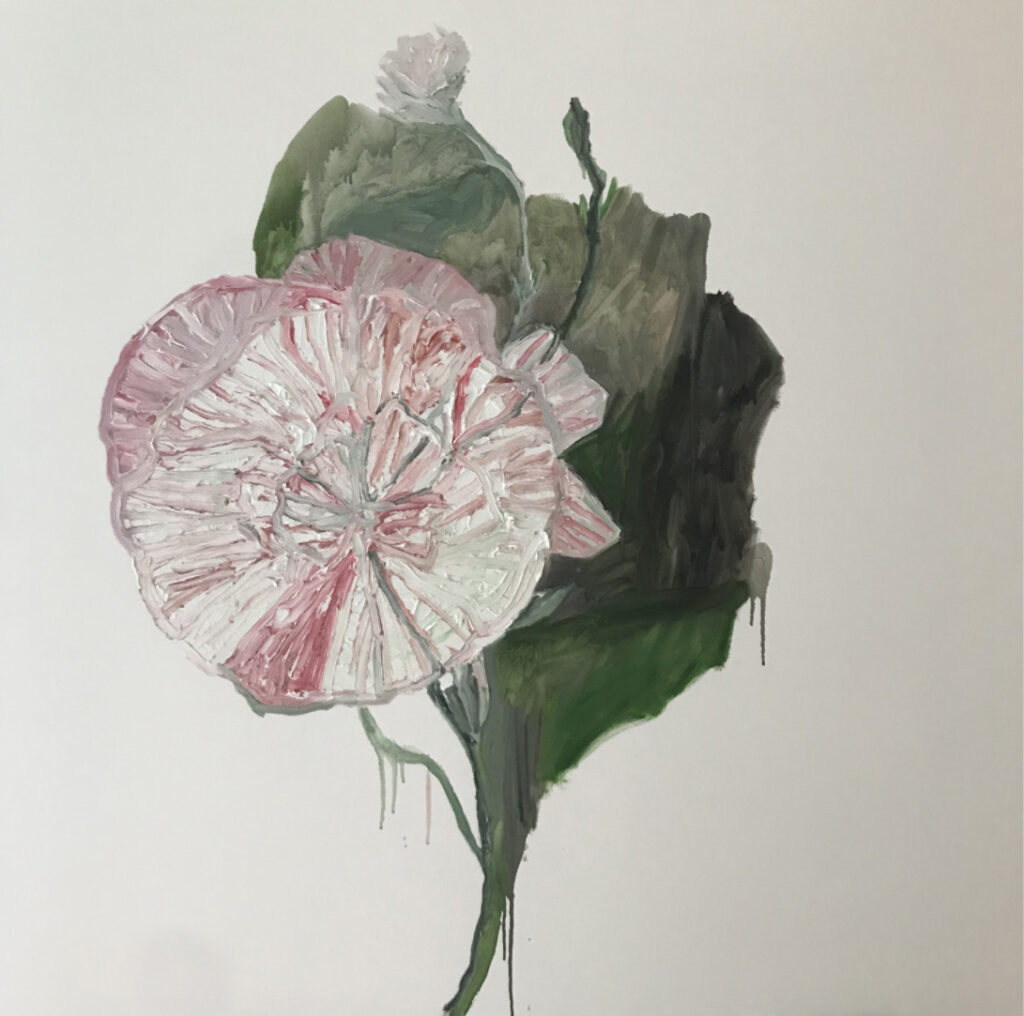 Margaret Evangeline, A Certain Dianthus, 2021, oil on canvas, 48" x 48"
