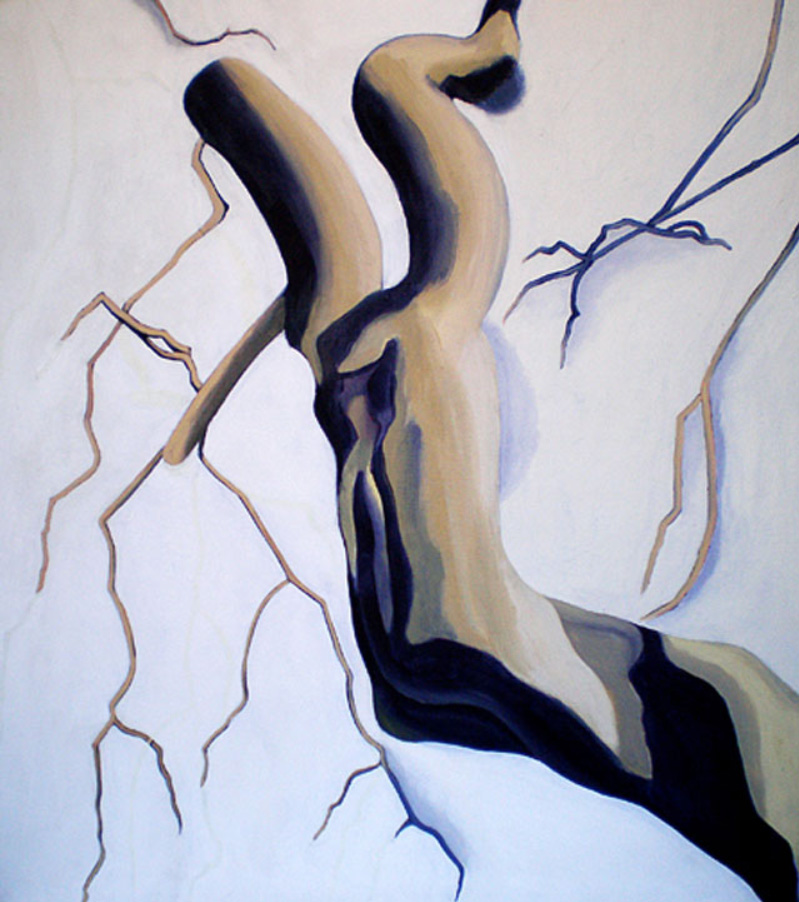 Mary Hrbacek, Hanging Suspended, 2008, acrylic on canvas, 40X44"