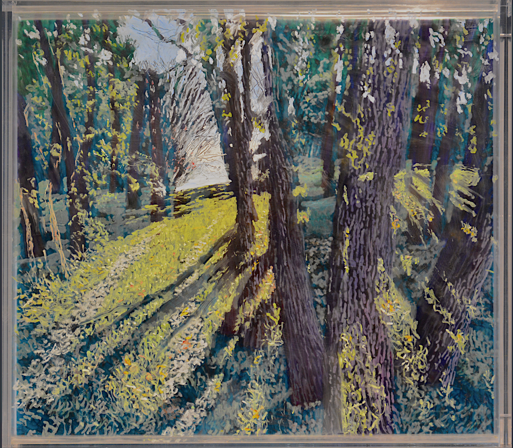 Sassafrass, Morning Under Afternoon © Martin Weinstein 2021