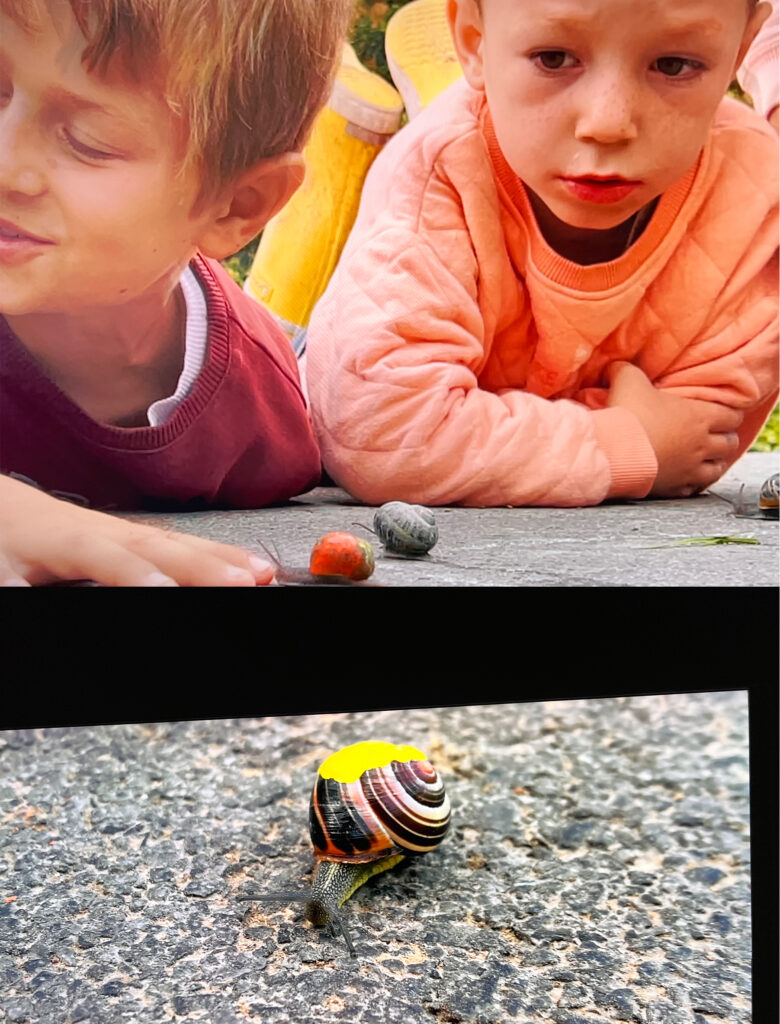 Francis Alÿs, ‘Nature of the Game’, Belgium Pavilion