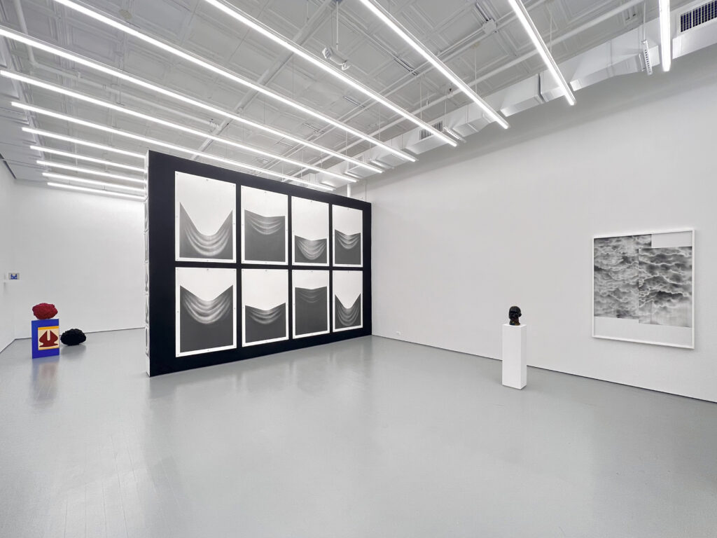 Francesco Igory Deiana installation view