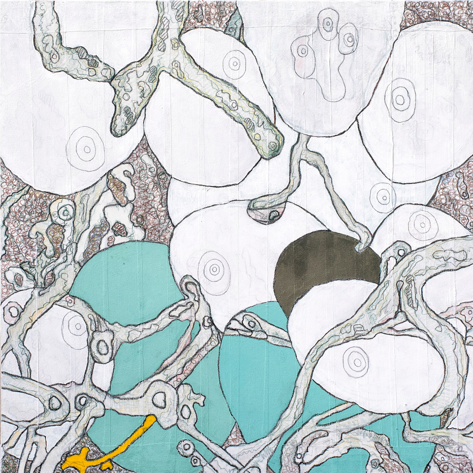 Costas Picadas, Biomes and Homologies, Biome 3, 2022,  mixed media on canvas . Size 48x48 
Image courtesy of the artist