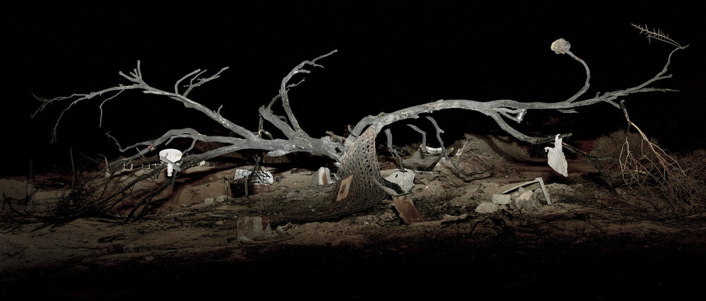 Jean-François Bouchard, Tree of Life #6, 2022. From the series Exile from Babylon