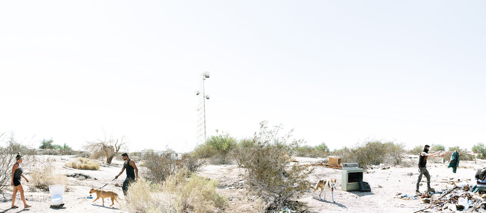 Jean-François Bouchard, Desert Life, Quadriptych B, 2022, from the series Exile from Babylon