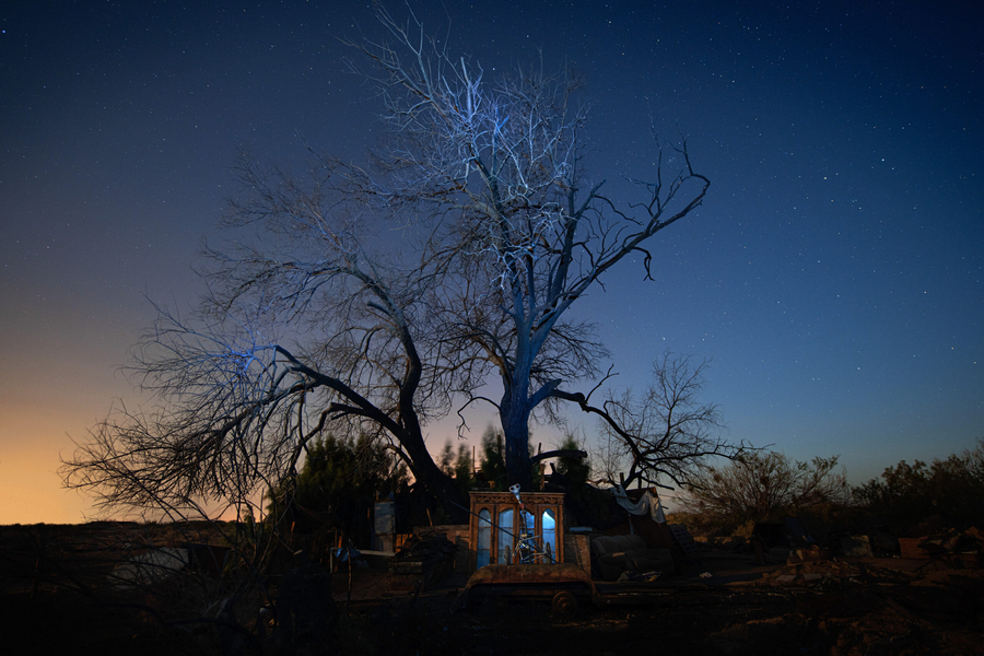 Jean-François Bouchard, Tree of Life #9, 2022. From the series Exile from Babylon
